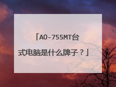 AO-755MT台式电脑是什么牌子?