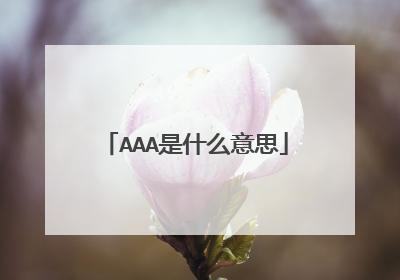 AAA是什么意思