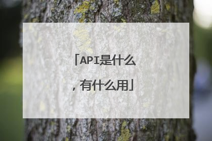 API是什么,有什么用