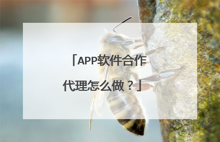 APP软件合作代理怎么做？