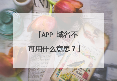 APP 域名不可用什么意思?