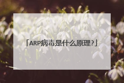 ARP病毒是什么原理?