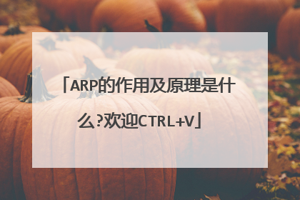 ARP的作用及原理是什么?欢迎CTRL+V