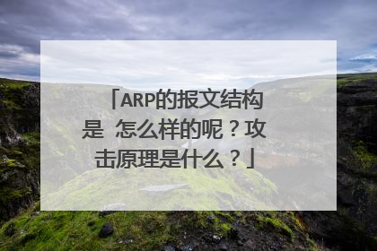ARP的报文结构是 怎么样的呢？攻击原理是什么？