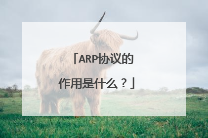 ARP协议的作用是什么？