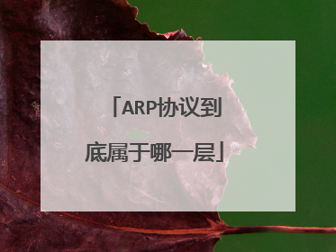 ARP协议到底属于哪一层