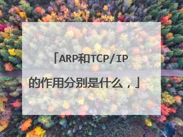 ARP和TCP/IP的作用分别是什么，