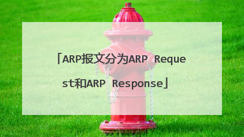 ARP报文分为ARP Request和ARP Response
