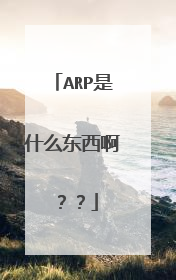 ARP是什么东西啊？？