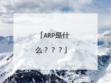 ARP是什么???