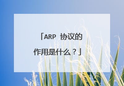 ARP 协议的作用是什么?
