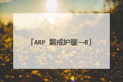 ARP 鍛戒护璇﹁В