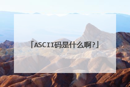 ASCII码是什么啊?
