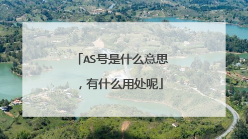 AS号是什么意思,有什么用处呢