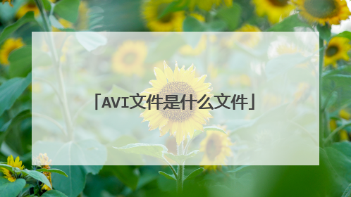 AVI文件是什么文件