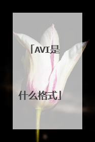 AVI是什么格式