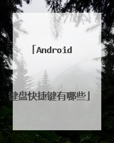 Android 键盘快捷键有哪些