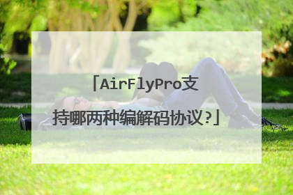 AirFlyPro支持哪两种编解码协议?