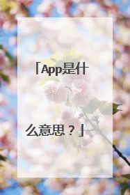 App是什么意思?