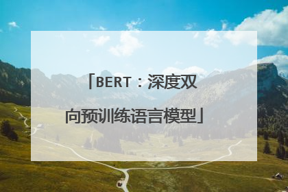 BERT：深度双向预训练语言模型