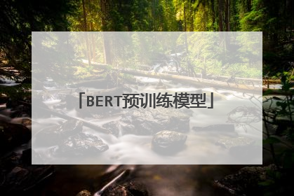 BERT预训练模型