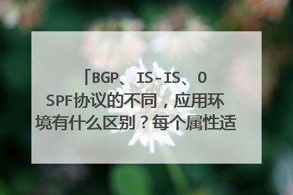 BGP、IS-IS、OSPF协议的不同，应用环境有什么区别？每个属性适合什么样的网络环境，什么情况下综合使用