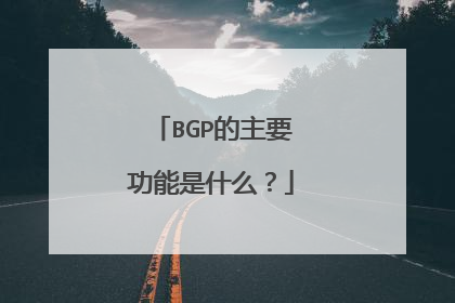 BGP的主要功能是什么？