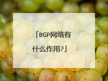 BGP网络有什么作用?