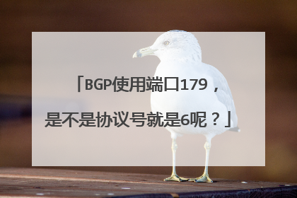 BGP使用端口179,是不是协议号就是6呢?