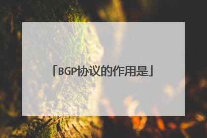 BGP协议的作用是