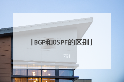 BGP和OSPF的区别