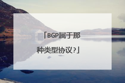 BGP属于那种类型协议?