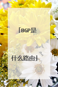 BGP是什么路由