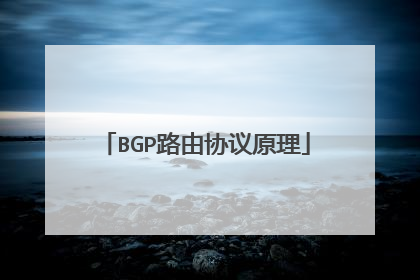 BGP路由协议原理