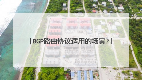 BGP路由协议适用的场景?