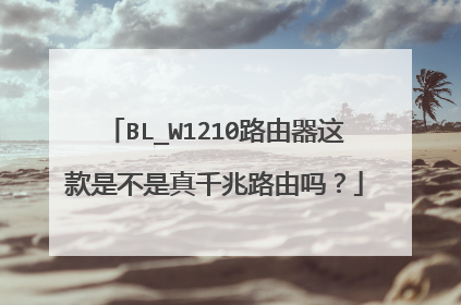 BL_W1210路由器这款是不是真千兆路由吗?