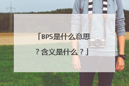 BPS是什么意思？含义是什么？