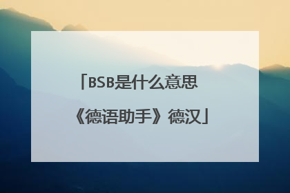 BSB是什么意思 《德语助手》德汉