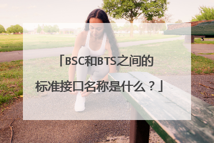 BSC和BTS之间的标准接口名称是什么？
