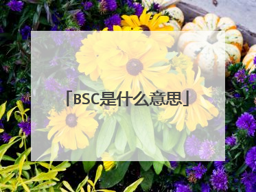 BSC是什么意思