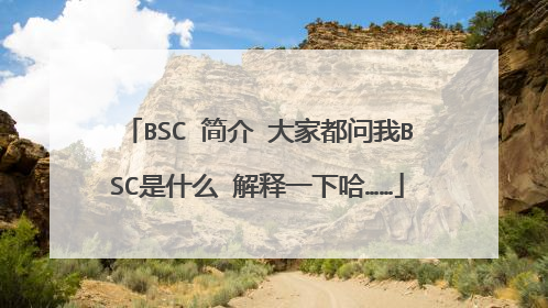 BSC 简介 大家都问我BSC是什么 解释一下哈……