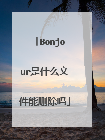 Bonjour是什么文件能删除吗