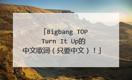 Bigbang TOP Turn It Up的中文歌词（只要中文）！