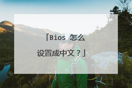 Bios 怎么设置成中文?