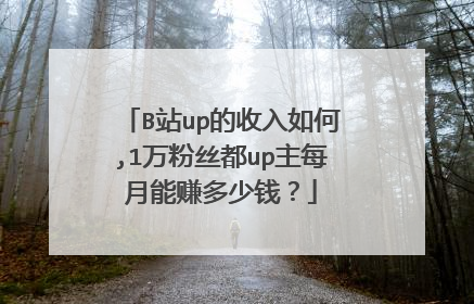 B站up的收入如何,1万粉丝都up主每月能赚多少钱?