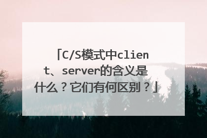 C/S模式中client、server的含义是什么?它们有何区别?