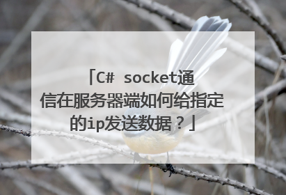 C# socket通信在服务器端如何给指定的ip发送数据?