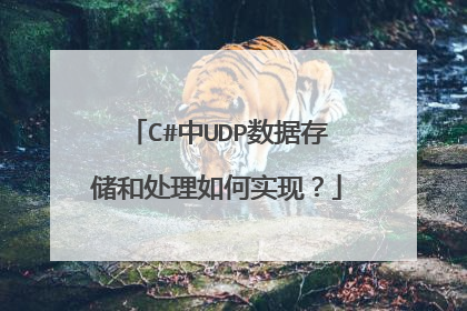 C#中UDP数据存储和处理如何实现?