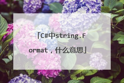 C#中string.Format,什么意思