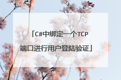 C#中绑定一个TCP端口进行用户登陆验证
